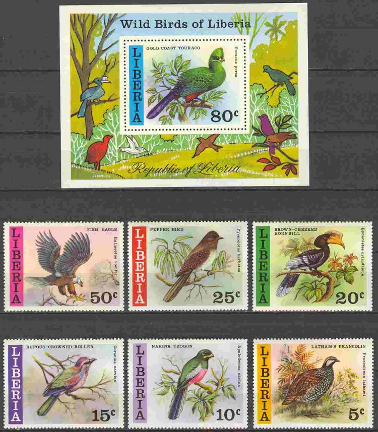 ������� 6�+1��