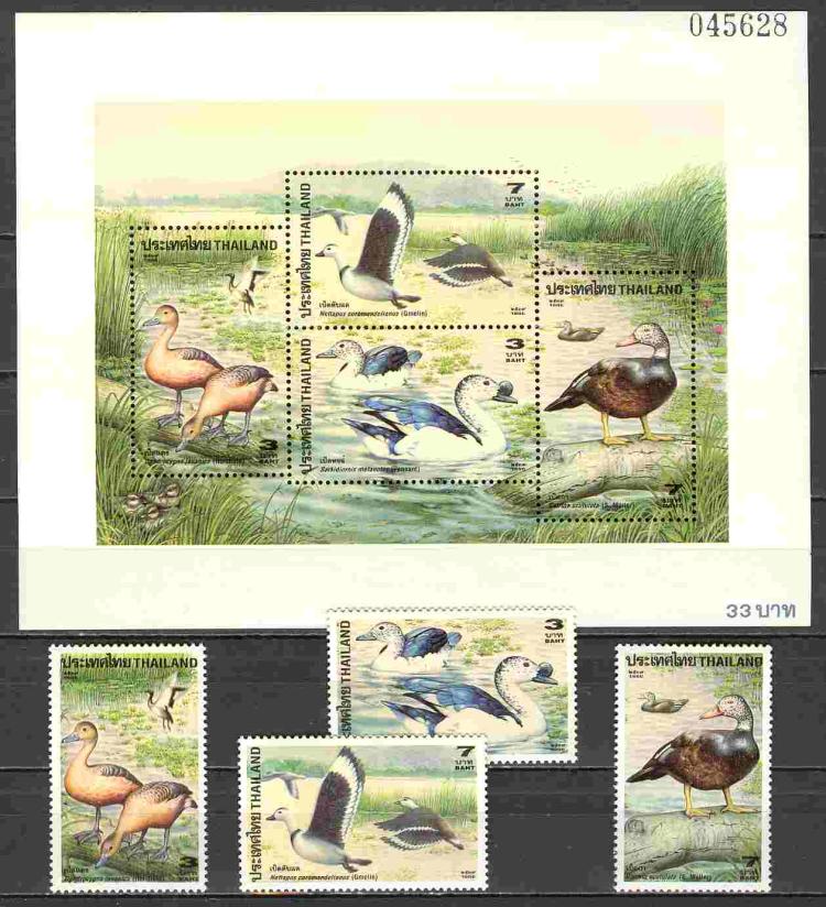 ������� 4�+1��