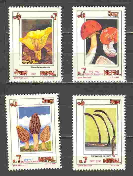  4 