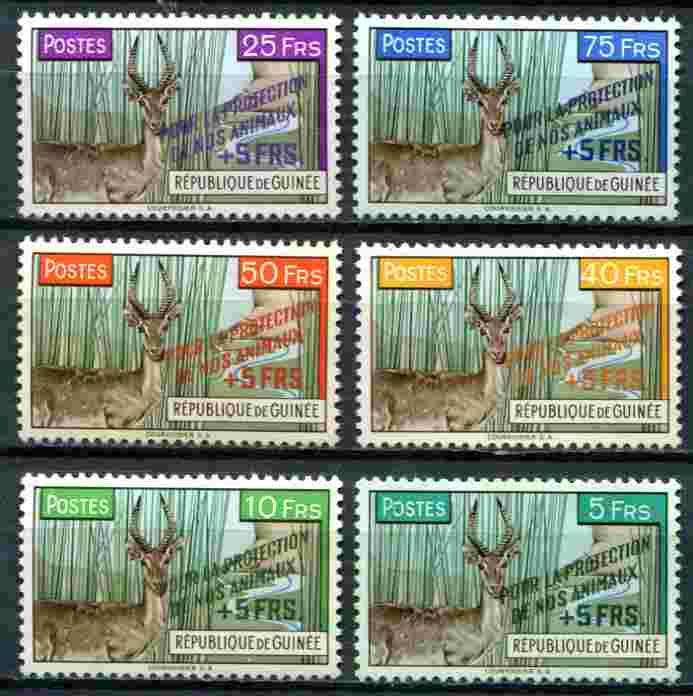  6 