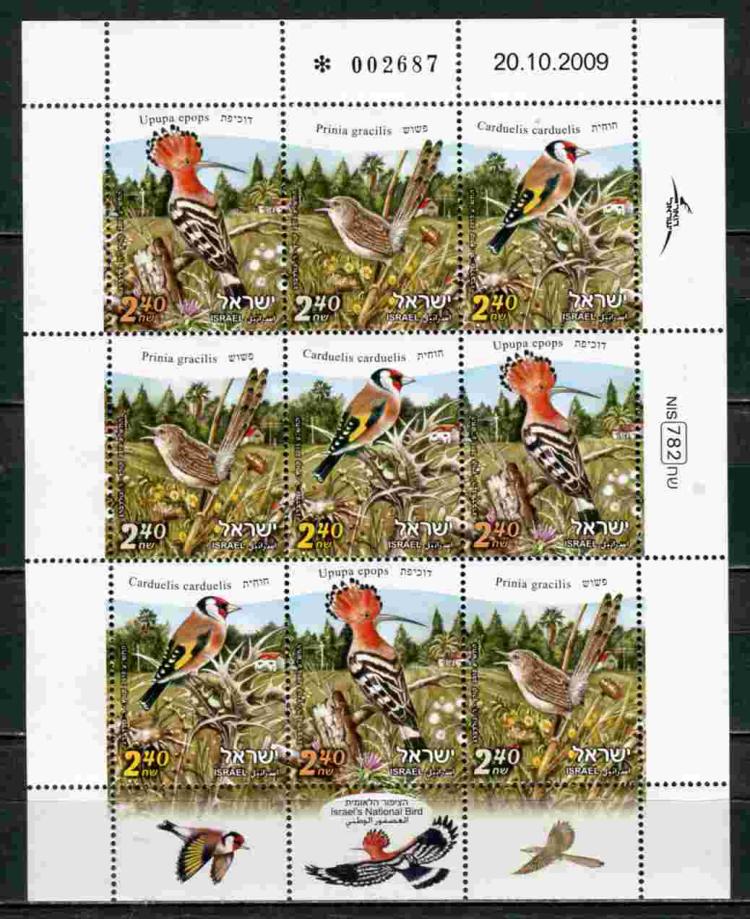 ������� 1 �/����