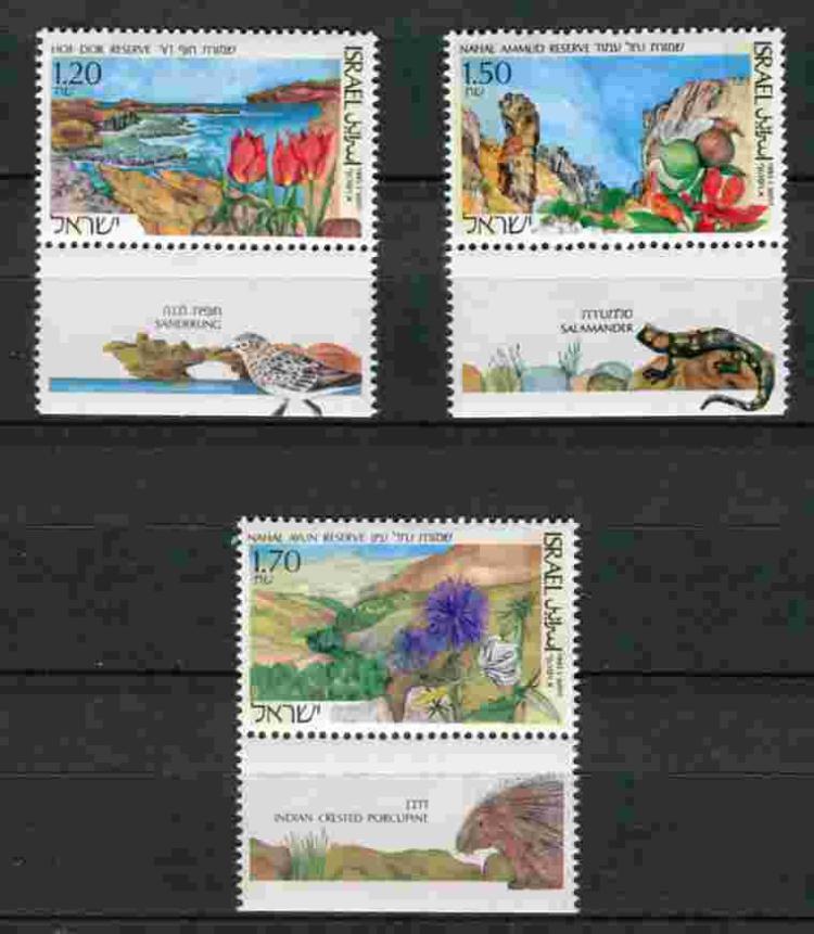 ������� 3 �����