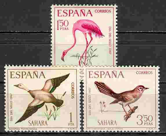 ���.������ 3 ����� SALE