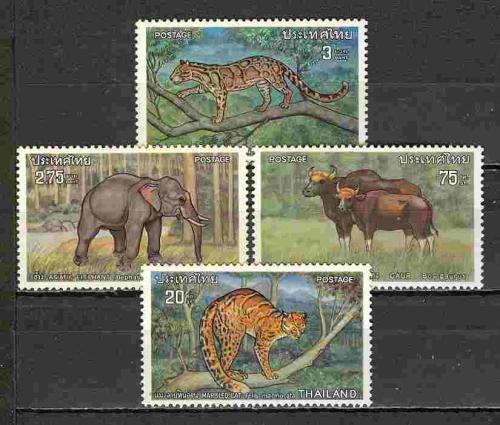 ������� 4 �����