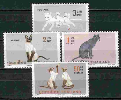 ������� 4 �����