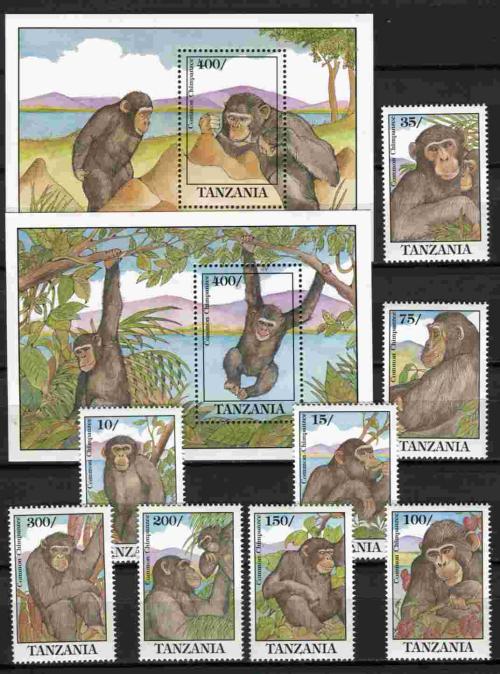 �������� 8�+2��