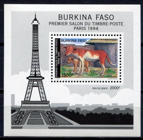 Буркина 1 блок