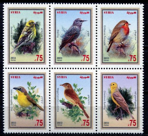 ����� 6 �����