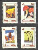  4 